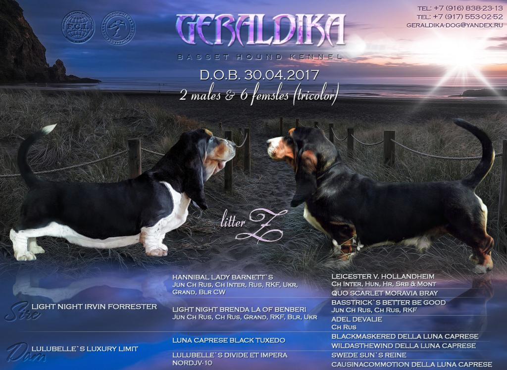 ������������� �������� �����