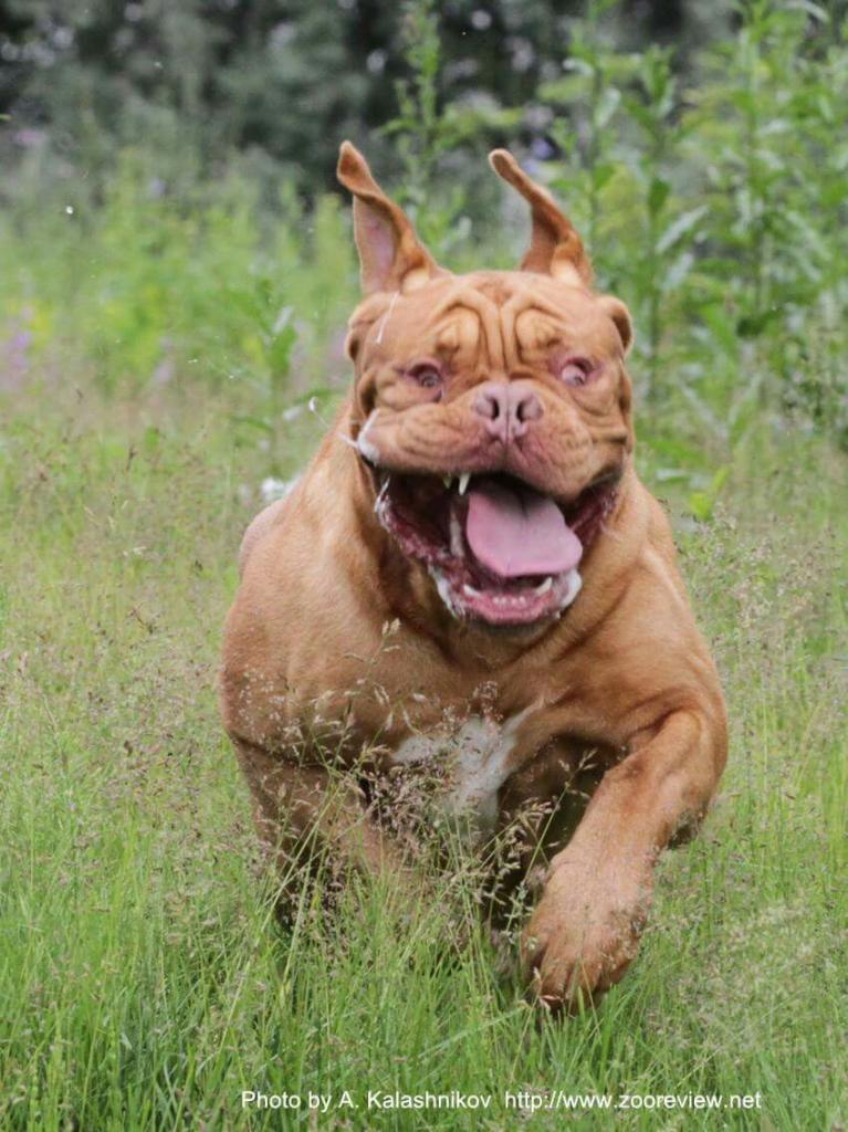 ������������� �������� �����