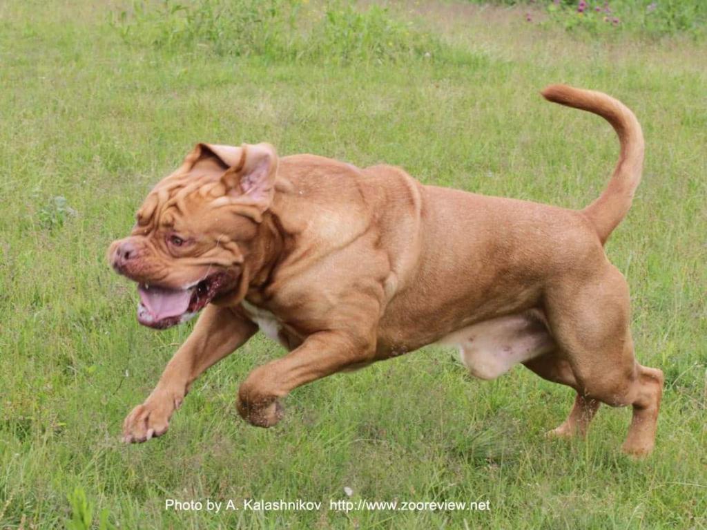 ������������� �������� �����