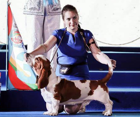 ������������� �������� �����