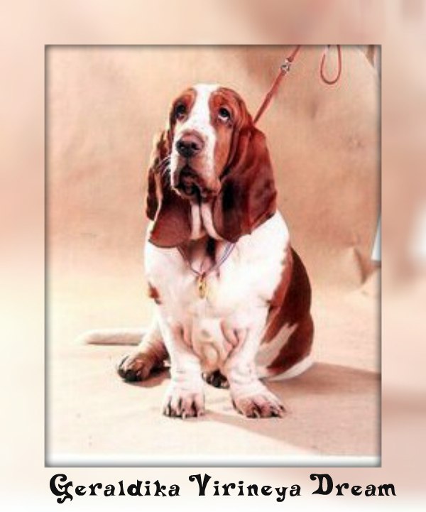 ������������� �������� �����