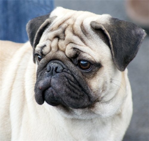 ����. ��������