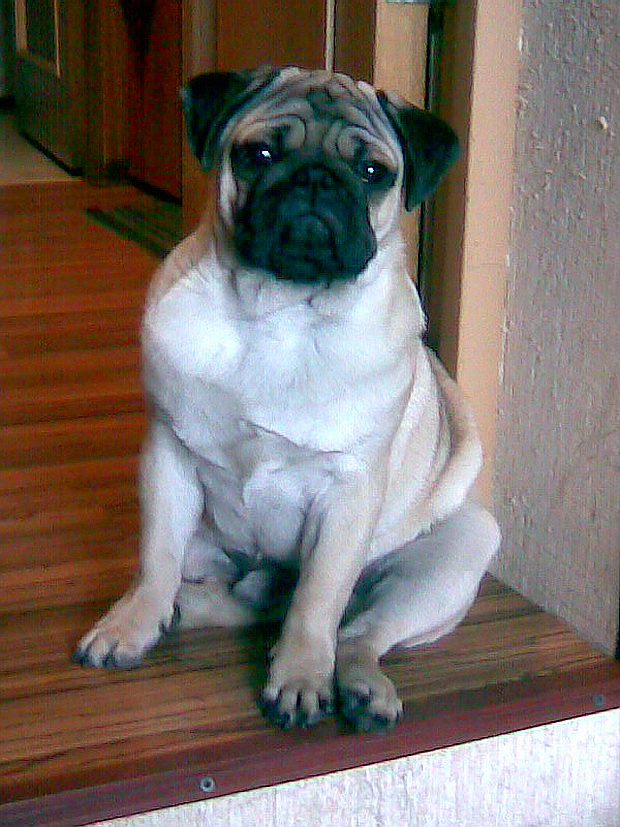 ����. ��������