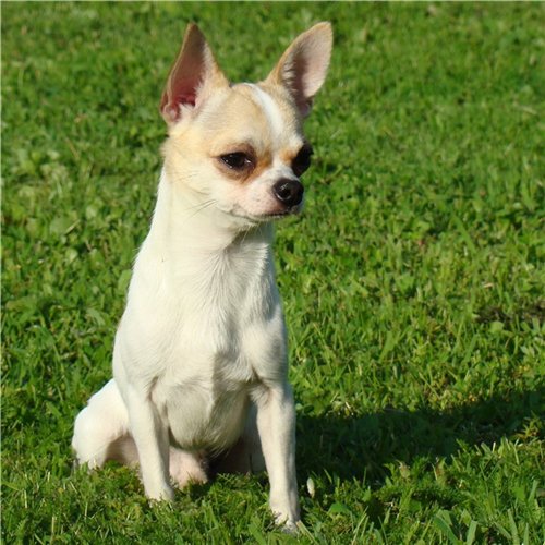 �������� �� ��������� ����� ��������� �����