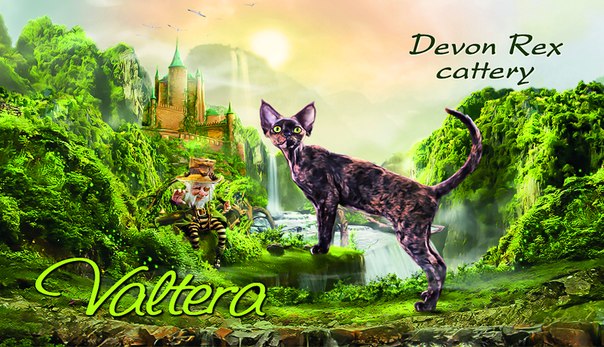 �����-���� �� ��������� ����� Valtera