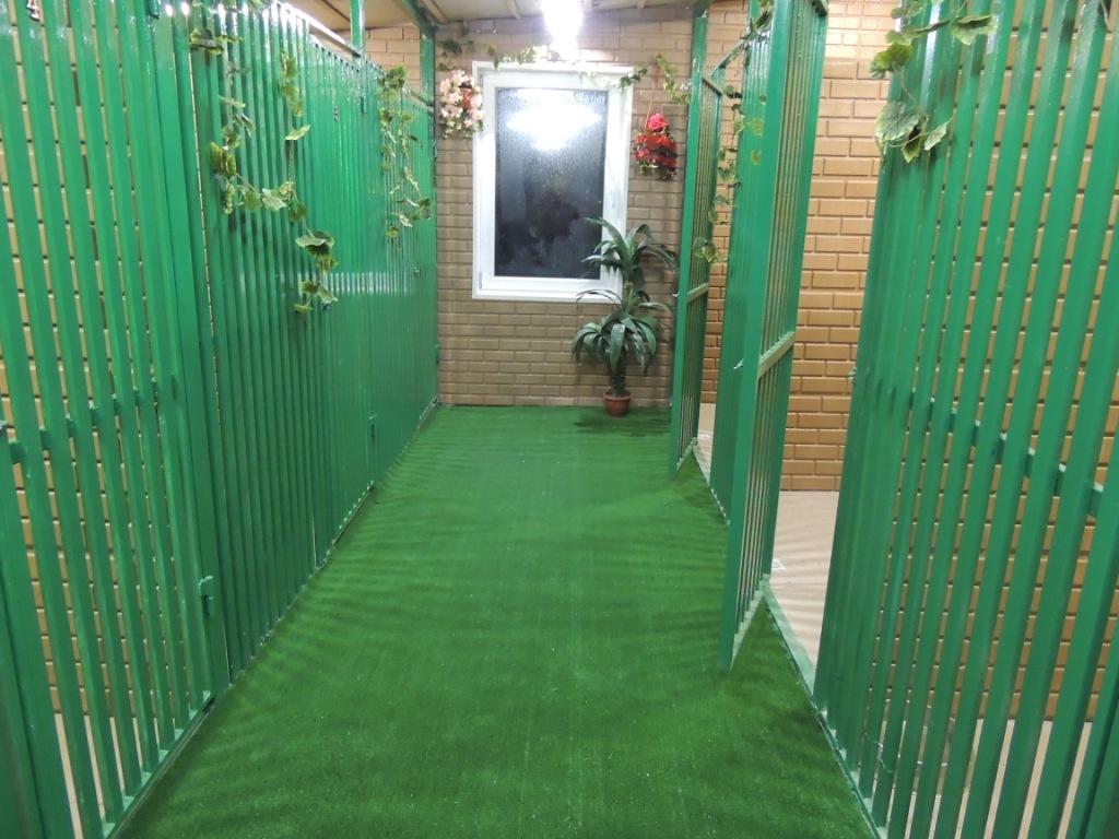 ������������� �������� �����