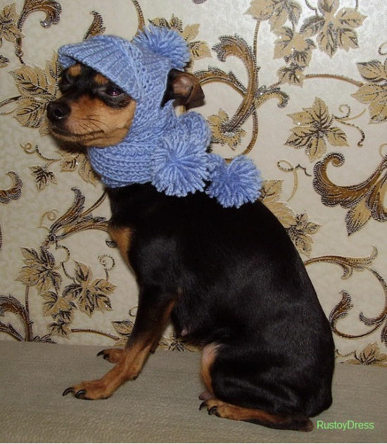 ������� ���-������ �� ��������� ����� ��������� �������