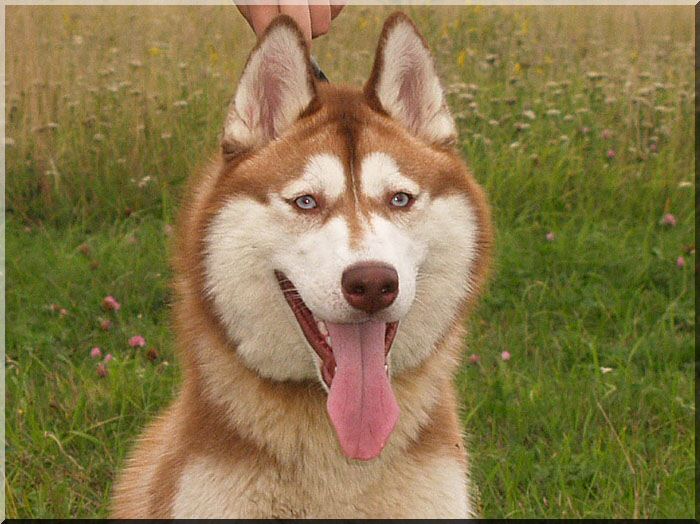 ��������� ����� �� ��������� ����� �������� ����