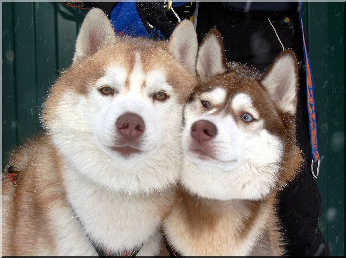 ��������� ����� �� ��������� ����� �������� ����