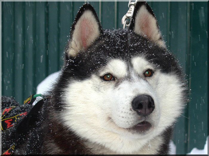 ��������� ����� �� ��������� ����� �������� ����