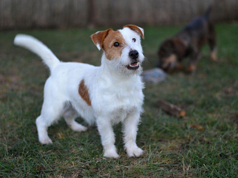 ������������� �������� �����