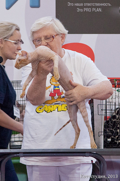 ���������. ��������