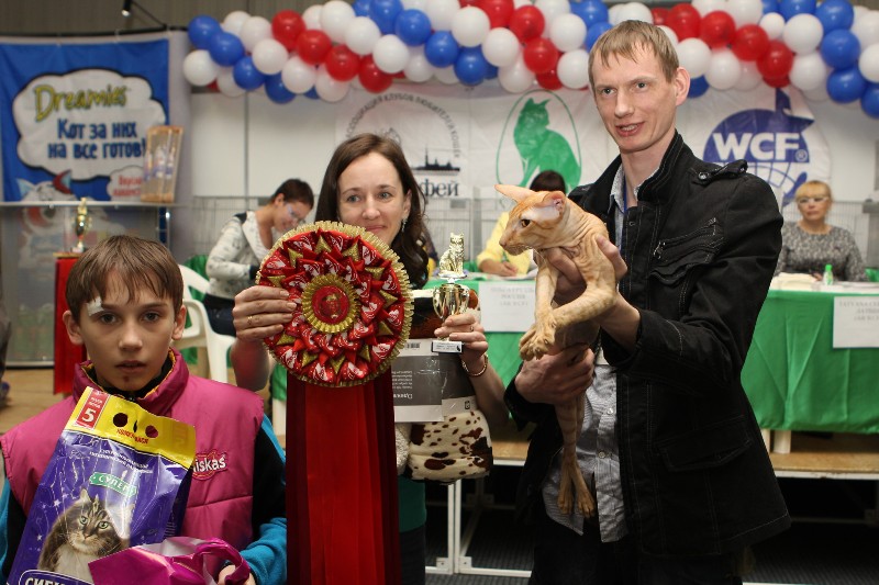 ���������. ��������