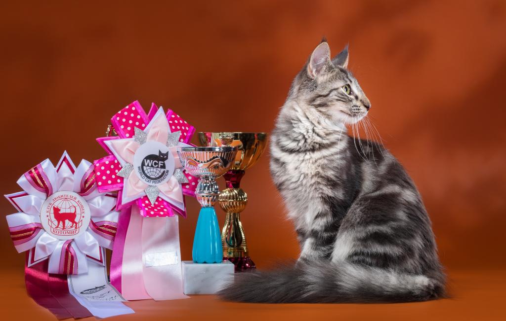 ���������� ������