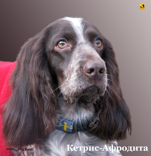 ������������� �������� �����