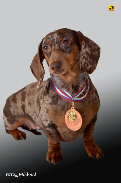 ������������� �������� �����