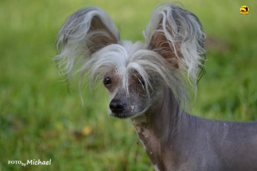 ������������� �������� �����