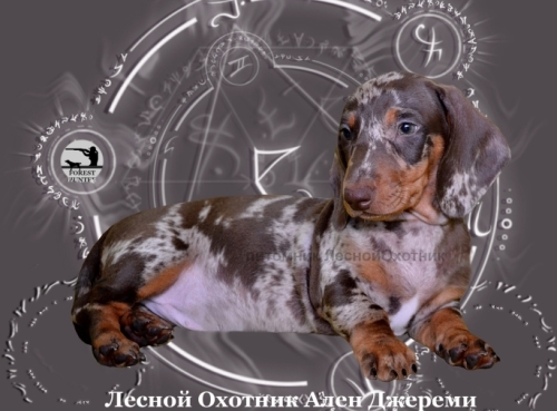 ������������� �������� �����