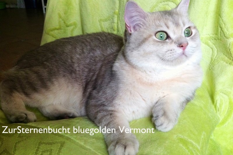 ���������� ���������������. ��������