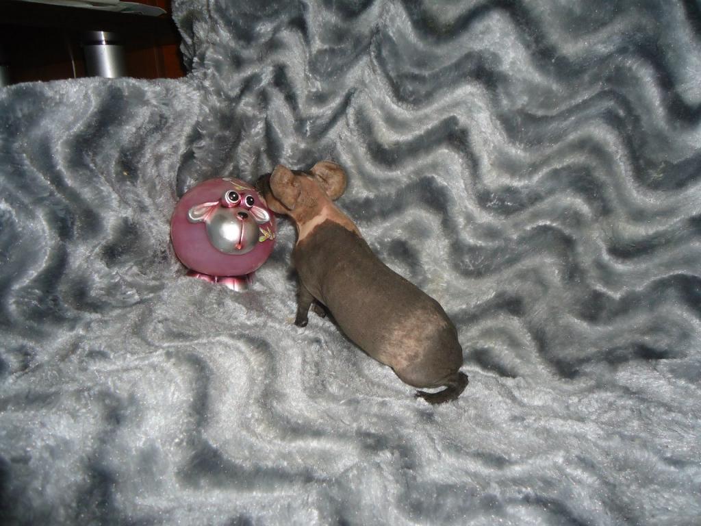 �������� �������� �� ��������� �������� �������� ���������