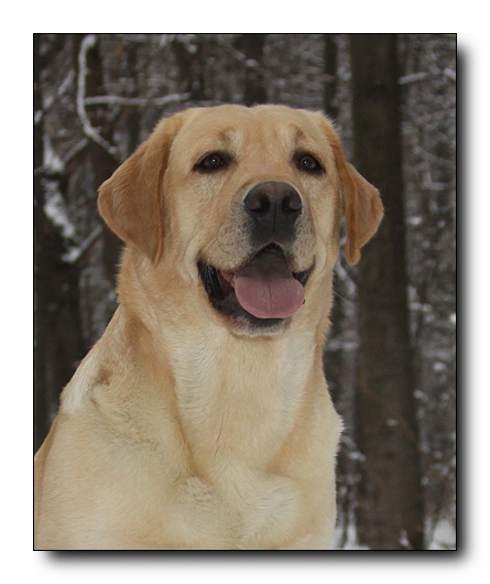 �������� �������� �� ��������� ����� Capas Spirit