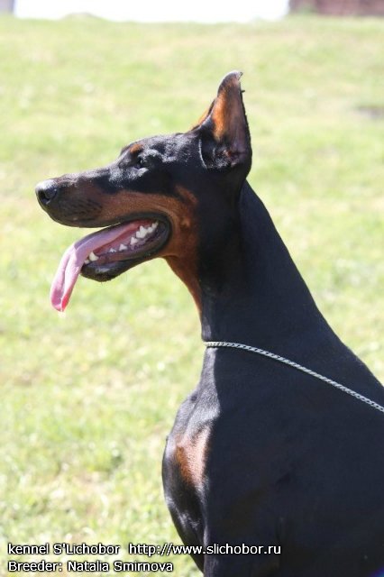 ������������� �������� �����