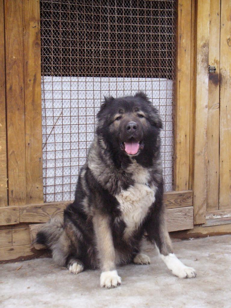 ������������� �������� �����