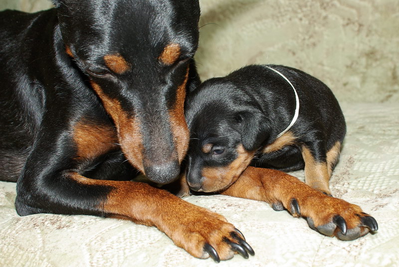 ����������� �� ��������� ����� ����  ����