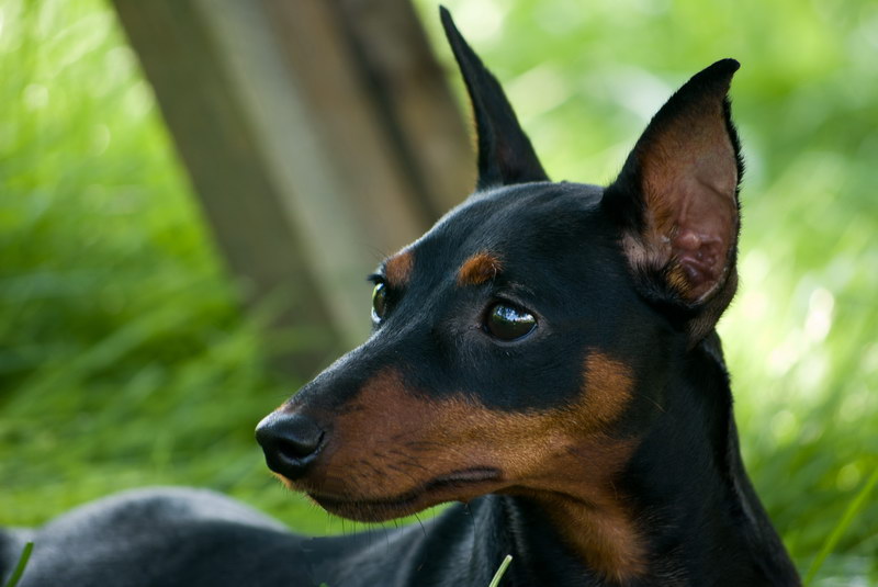 ����������� �� ��������� ����� ����  ����