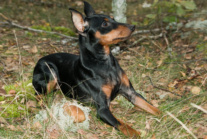 ����������� �� ��������� ����� ����  ����