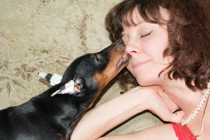 ����������� �� ��������� ����� ����  ����