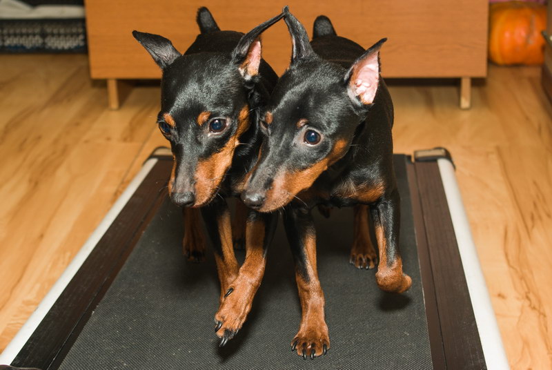 ����������� �� ��������� ����� ����  ����