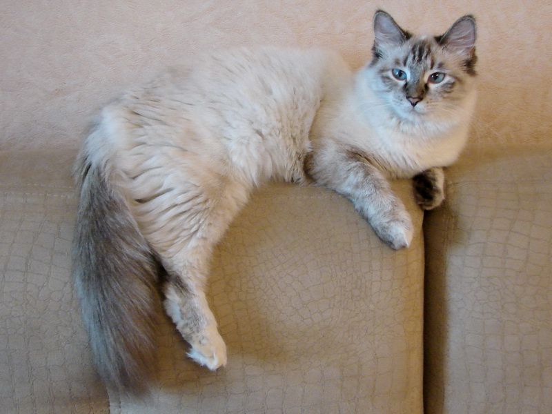 ��������� ����� �� ��������� ����� �������� �����