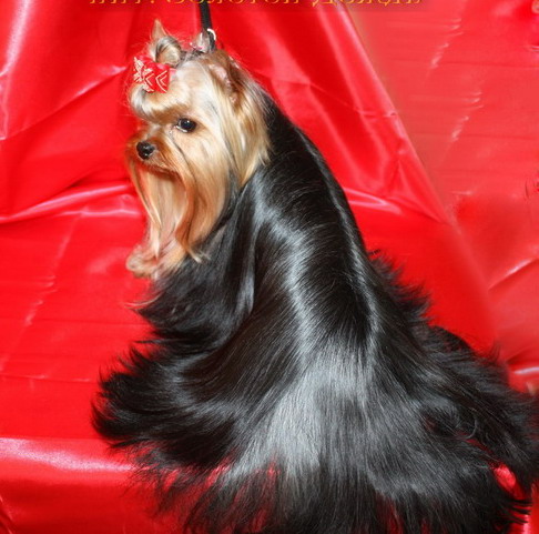 �������������