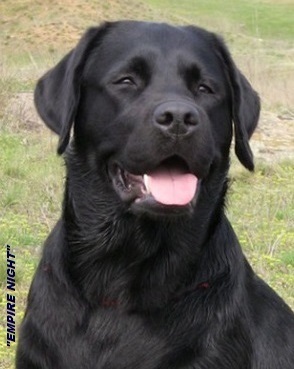 �������� ��������. ��������