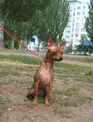 ������������� �������� �����