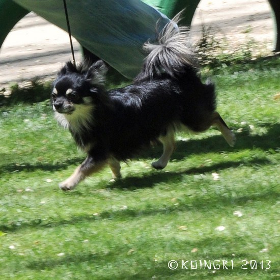 ������������� �������� �����