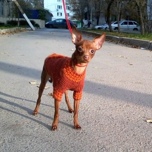 ������������� �������� �����