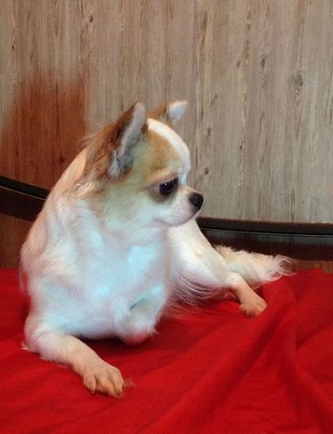 ������������� �������� �����