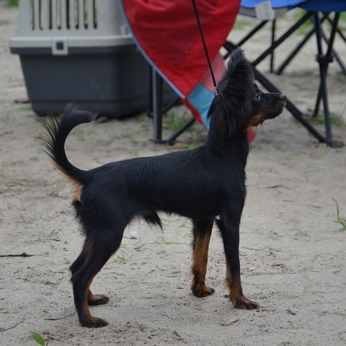 ������������� �������� �����