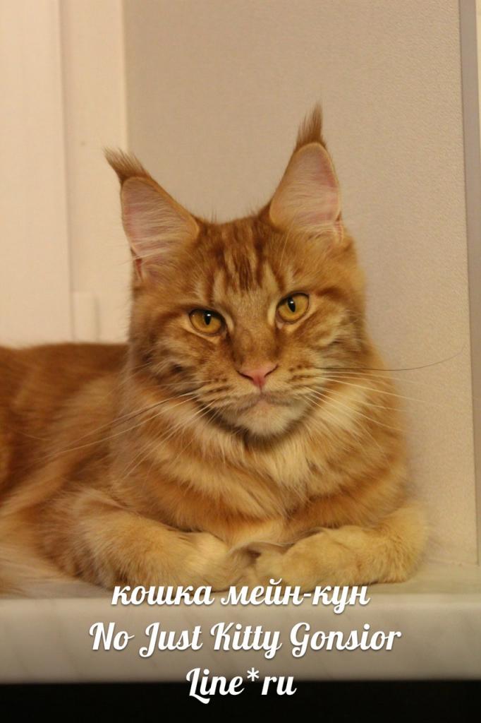 ����-��� �� ��������� ����� Helena House