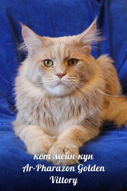 ����-��� �� ��������� ����� Helena House