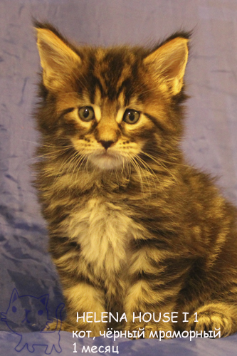 ����-��� �� ��������� ����� Helena House