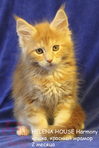 ����-��� �� ��������� ����� Helena House