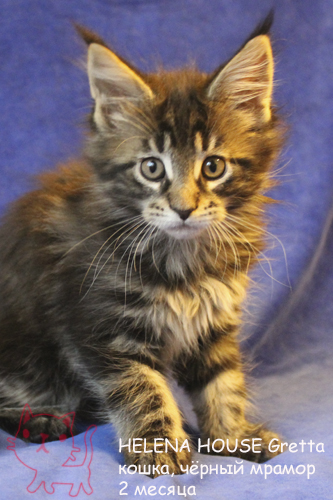 ����-��� �� ��������� ����� Helena House