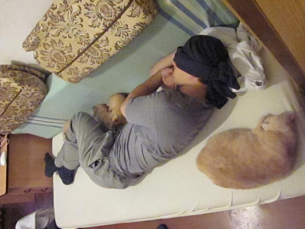 ���������� ���������������. ��������