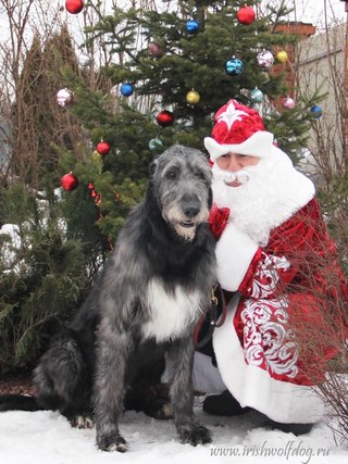 ���������� ��������. ��������