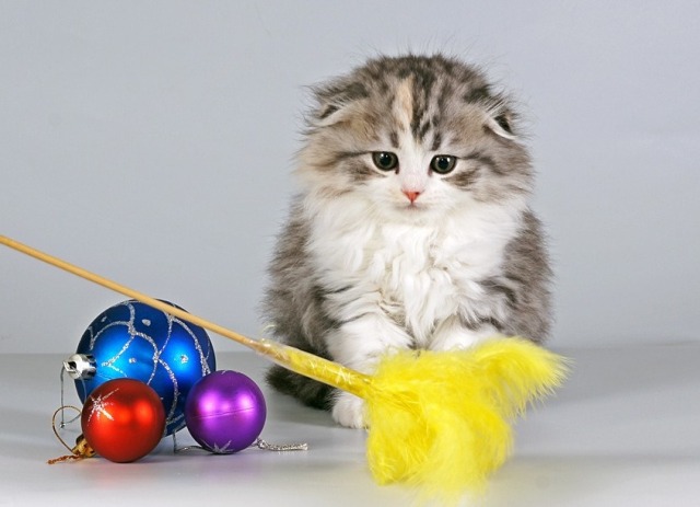 �������� �������� �� ��������� ����� Glamusha