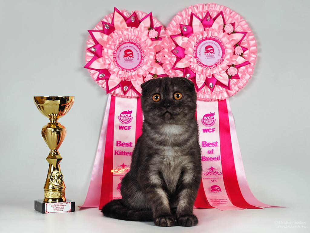 �������� �������� �� ��������� ����� Glamusha