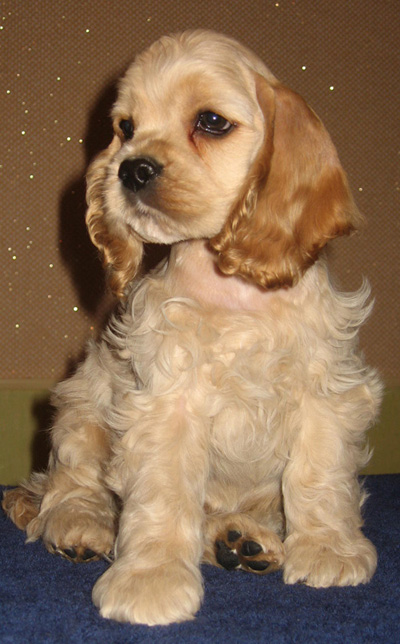 ������������ ����� �������� �� ��������� ����� ��������